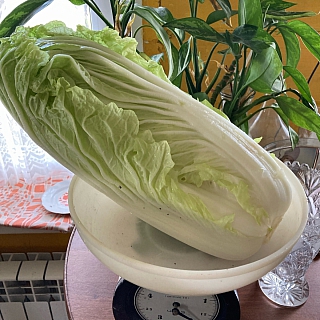 И всё-таки в глобальном потеплении есть свои преимущества 3