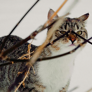 Итоги 2019 года: номинация "Чудо природы" 6
