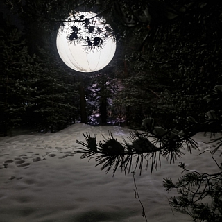 Моховые принарядили к праздникам 3