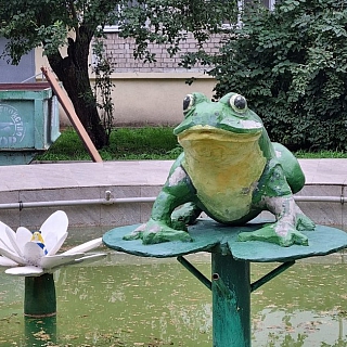 Борский фонтан "Лягушка" не прошёл проверку дождем 2