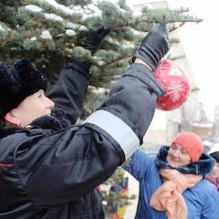 На Бору автополицейские зажгли «Елку безопасности» 1