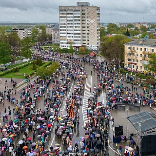 Будет ли на Бору шествие "Бессмертного полка"? 3