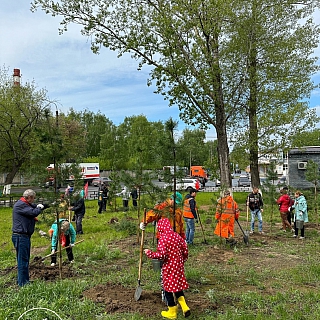 Новая Аллея появилась на Бору 2