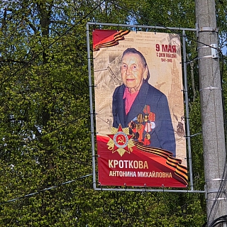 Их осталось только 6 5