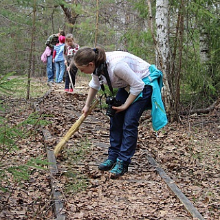 Итоги акции "Зеленая весна" в Керженском заповеднике 4