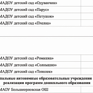 С 1 февраля в Борских детских садах планируется повышение родительской платы 1