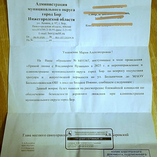 Борчанка обратилась к Путину 1