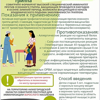 Где сделать прививку от гриппа на Бору 1