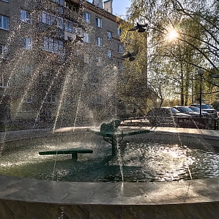 Лучшие фотографии за 2019 год 6