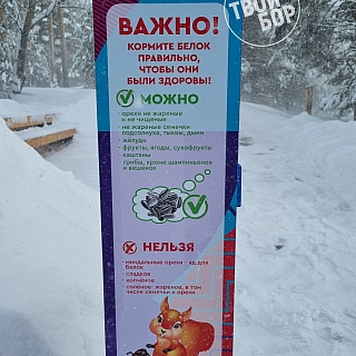 Борским белкам понравится 2