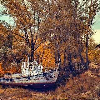 Лучшие фотографии за 2019 год 4