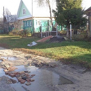 Какой проект поддержат борчане? 1