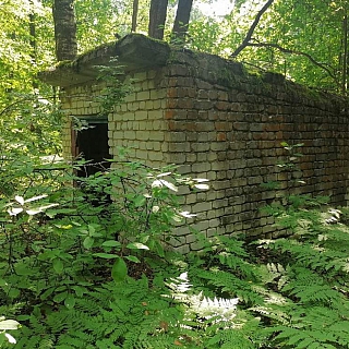 Могилы пленных немцев на Бору 7