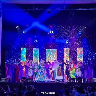 В Борских учреждениях культуры и образования начались новогодние представления 4