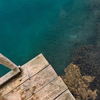 Борчанка поделилась увиденной красотой 2