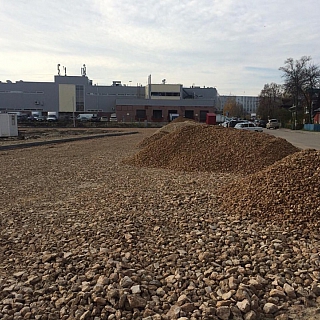 Представители ОНФ потребовали от властей Бора найти компромисс с жителями по поводу обустройства парковки в районе Мухинского озера 2