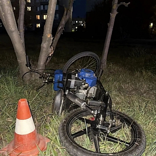 На Бору 15-летний подросток на самодельном велосипеде врезался в дерево после опасного манёвра автомобилиста 1
