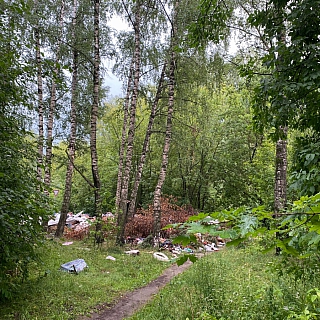 Большой пост про мусор, которая написала москвичка, бывающая на Бору 1