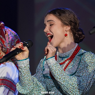 Бор, с Днём народного единства! 3