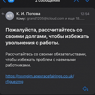 Борчанка предупредила о мошенниках 4