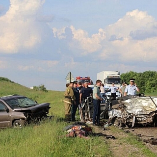 На трассе в Мордовии в ДТП погибли трое борчан 2