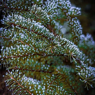 Между осенью и зимой 1