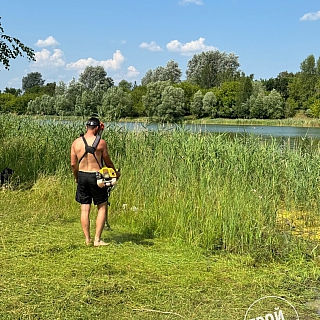 Неравнодушные борчане живут на Бору 4