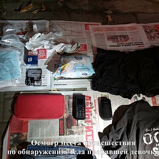 Убийца обвиняется в изнасиловании девочки в городе Бор 3