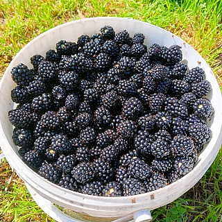 И всё-таки в глобальном потеплении есть свои преимущества 4