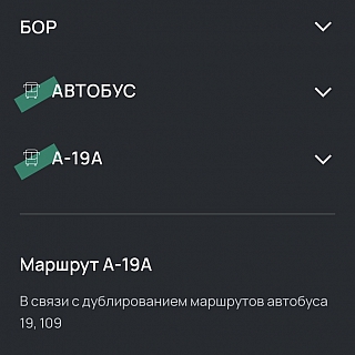 Большие перемены в борских маршрутах 2