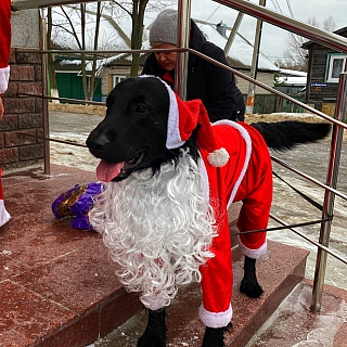 Фестиваль Дедов Морозов прошел 3 января на Бору 7