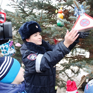 На Бору автополицейские зажгли «Елку безопасности» 2