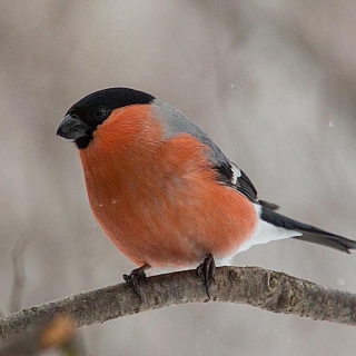Итоги 2019 года: номинация "Чудо природы" 4