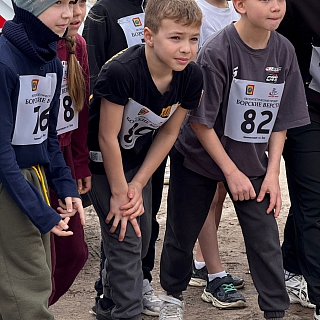 В посёлке Большое Пикино прошел легкоатлетический пробег "Борские версты" 9