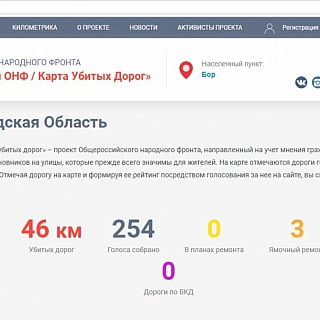 53 борских дороги отмечено на «Карте убитых дорог» 1