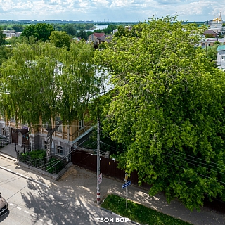 Есть ли будущее у борского краеведческого музея 1