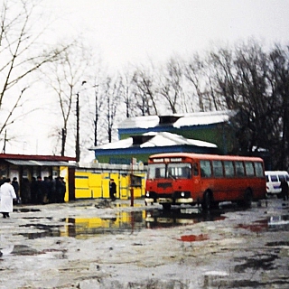 Эти борские фото тронут до глубины души 3