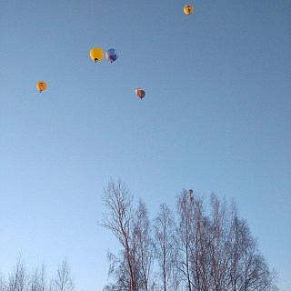 Бор порадовала фиеста аэростатов 1
