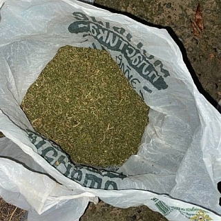 На Бору задержали мужчину с мешочками наркотиков 1