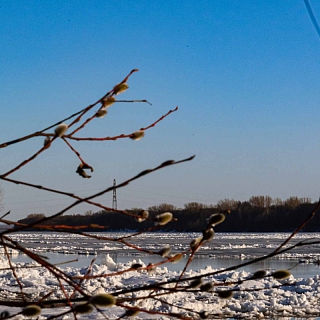 Волга пошла 4