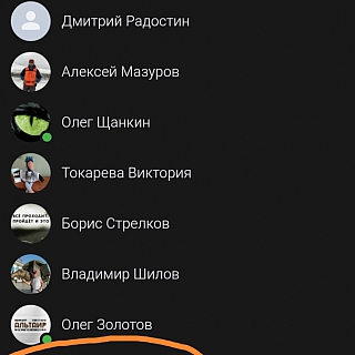 Борский активист приглашает с лопатами в парк! 3