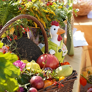 Центр Бора утонул в цветах 8