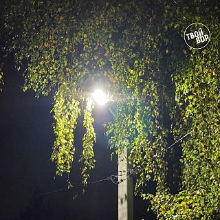 Благоустройство делится светлыми новостями 2