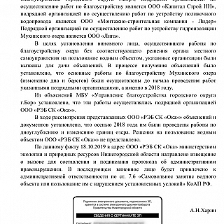 За Мухинское озеро накажут виновных 2