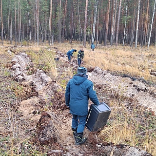 Борские пожарные МЧС России посадили 10 тысяч деревьев в рамках акции «Сохраним лес» 1