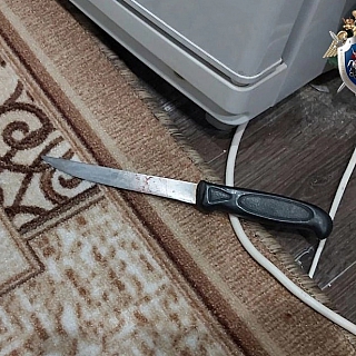 Женщина убила бывшего мужа в Октябрьском 1