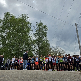 В Большом Пикино собрались большие спортсмены и маленькие 5