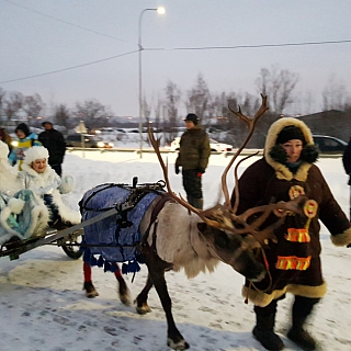 Праздник «Рождественская ёлка» прошёл 7 января на Бору (фото, видео) 3