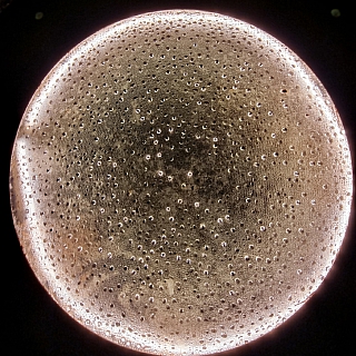 На Моховых горах новую жизнь получил старый заброшенный колодец 3