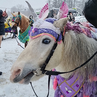 Масленичные гуляния на Бору 4